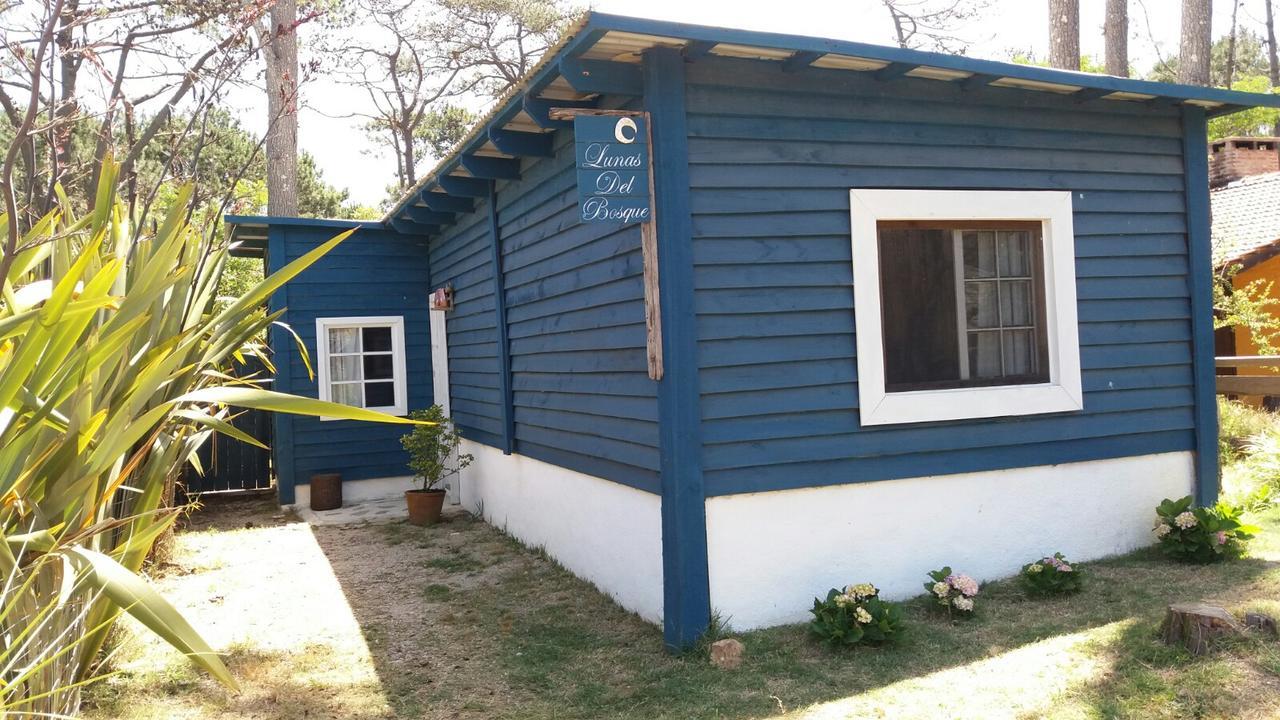 Lunas Del Bosque Cabana Y Apartamento En Suite La Paloma Esterno foto